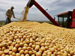 Soja em alta leve na Bolsa de Chicago nesta manhã de 5ª, esperando por notícias e definições