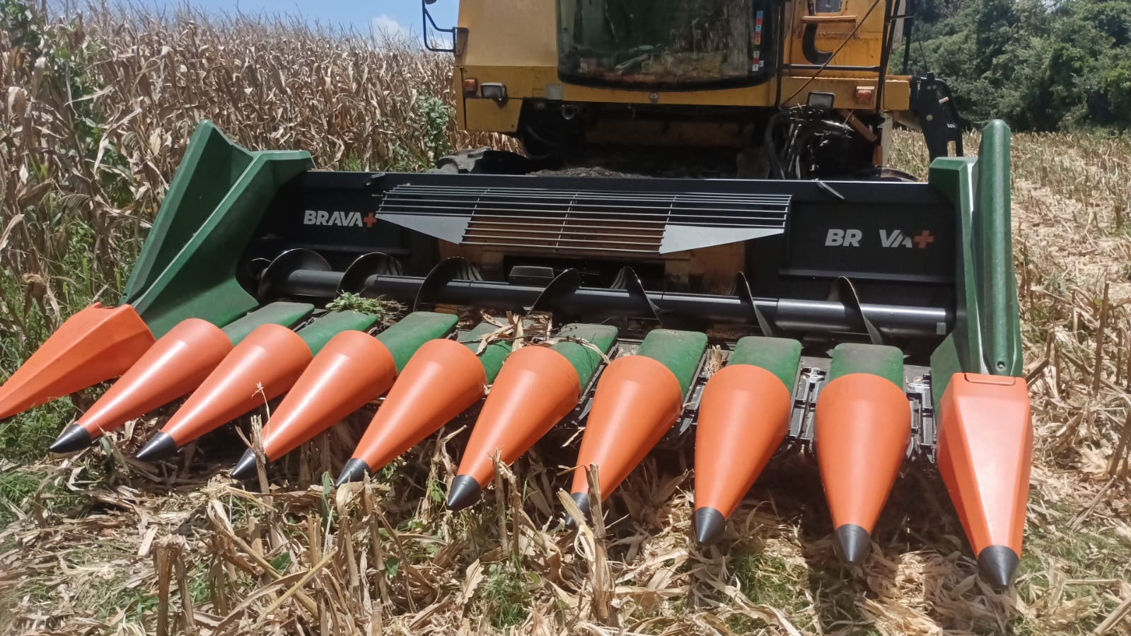 Plataforma Despigadora Brava Stara Ano 2022