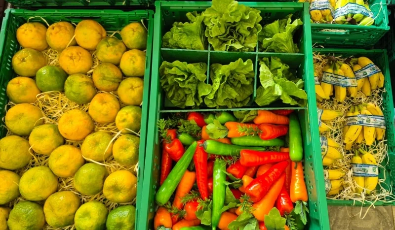 Após 1º trimestre desafiador, setor de HFs liga alerta máximo para falta de combustível e possível greve dos caminhoneiros