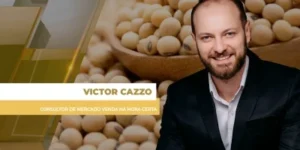 Soja & Milho: Brasil tem semana de preços, mais uma vez, lateralizados e poucos negócios