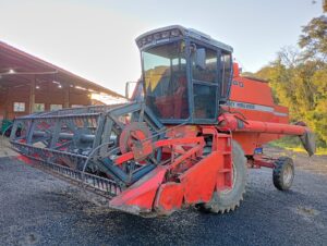Colheitadeira MF 3640 Massey Ferguson Ano 1998
